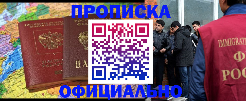 прописка поиск в Камышине